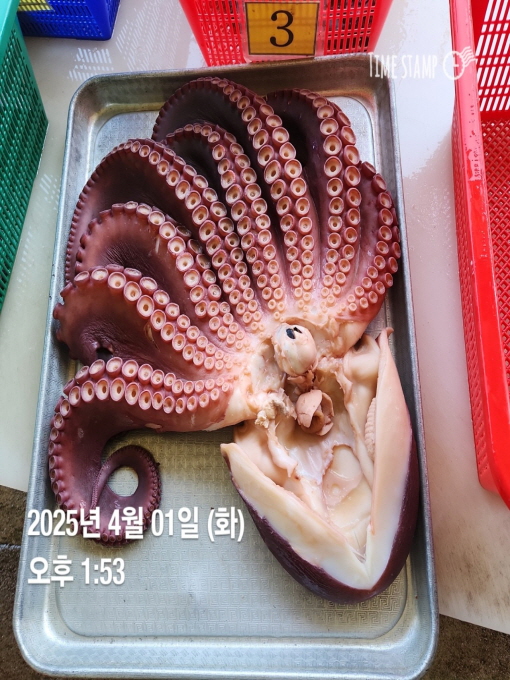 [ũ⺯ȯ]øƮ(ȣ)__20250401_9.jpg
