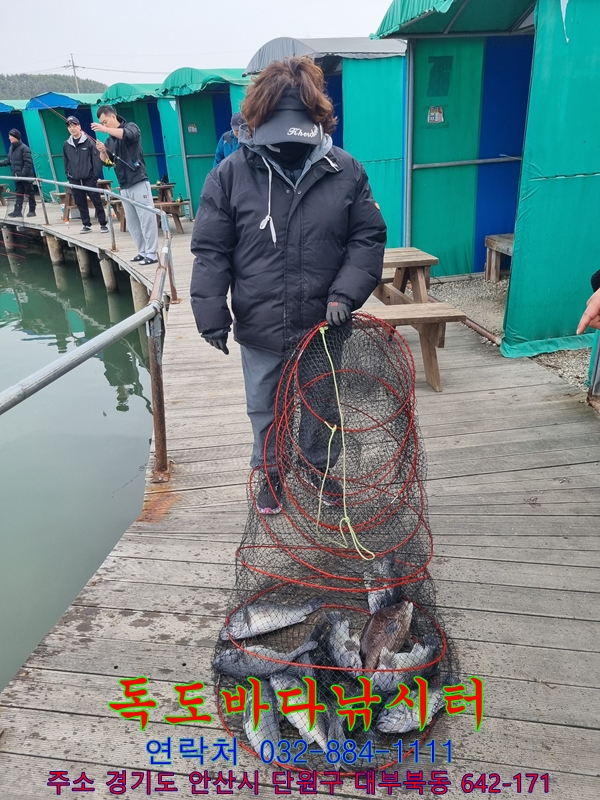 51.jpg