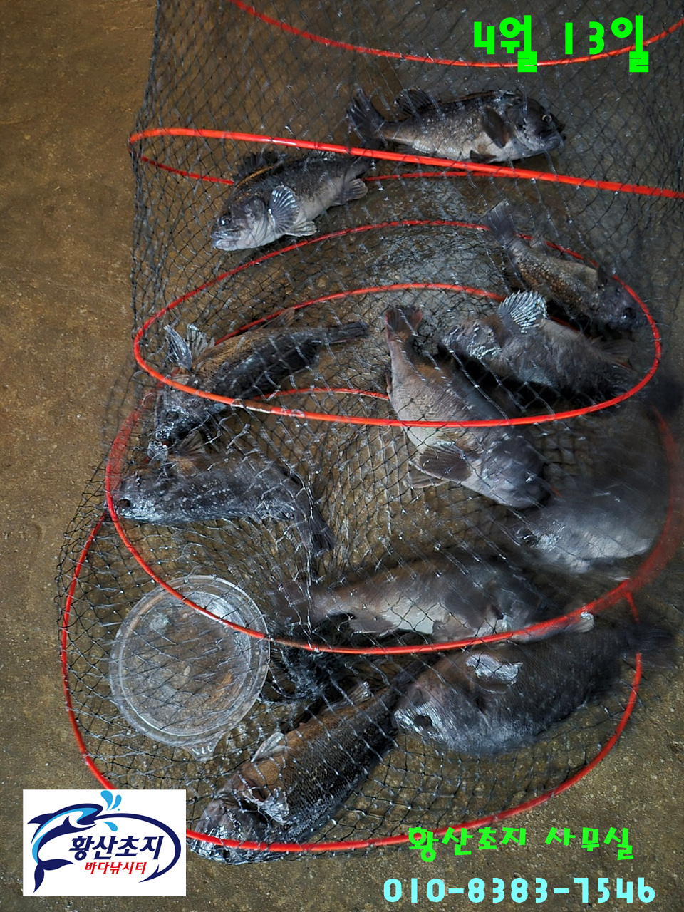 1744538749955-2.jpg