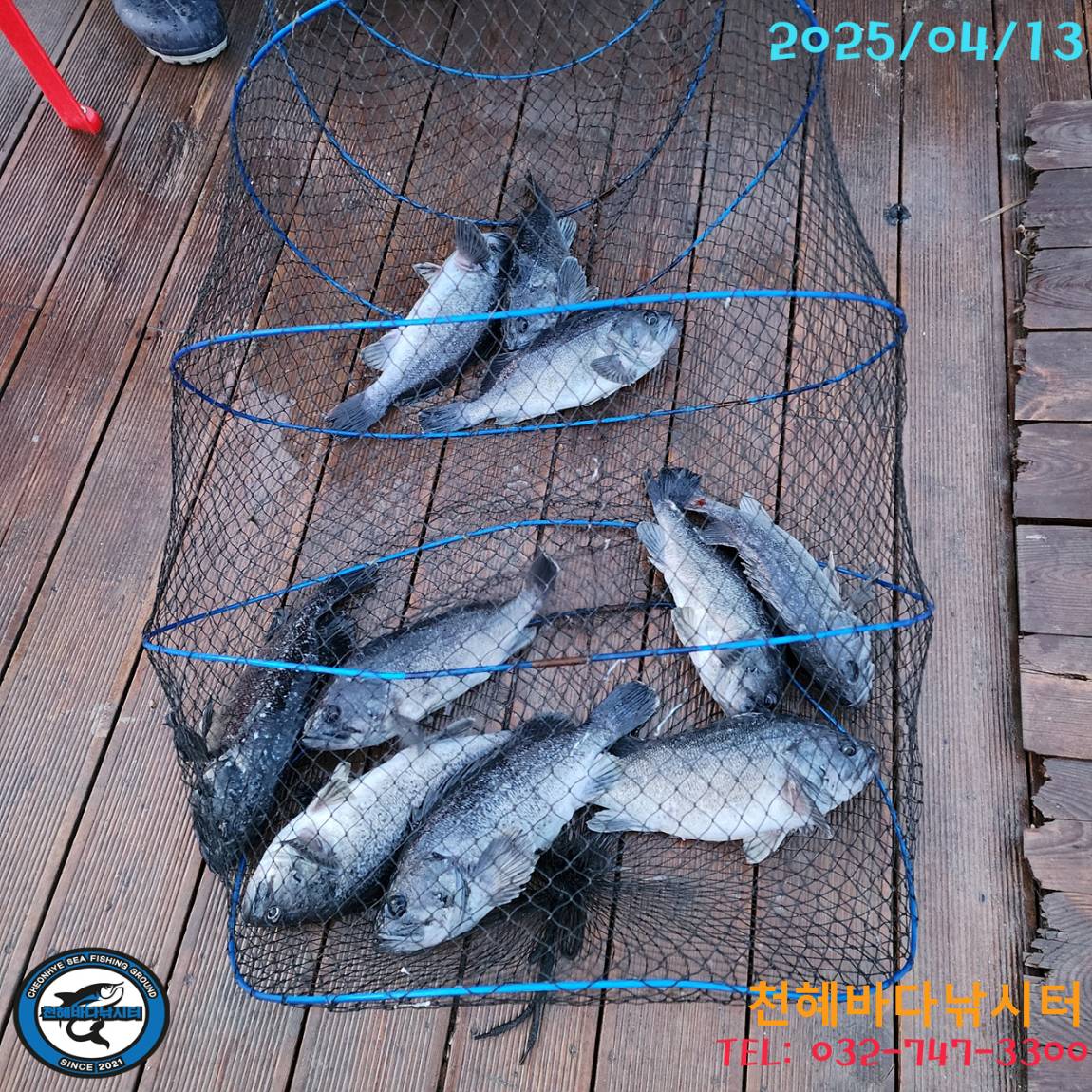 1744582763406-8.jpg