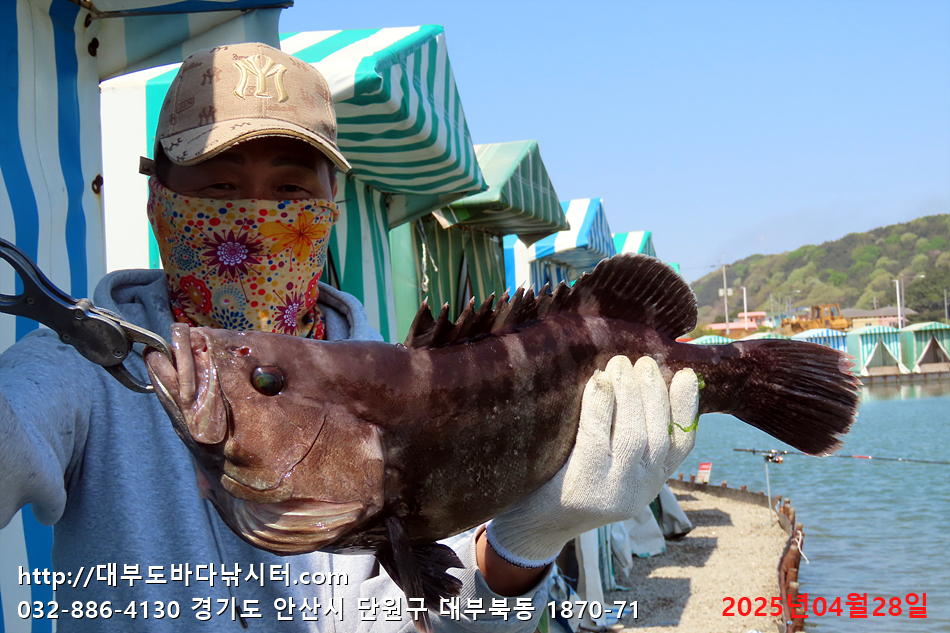 IMG_5006.jpg