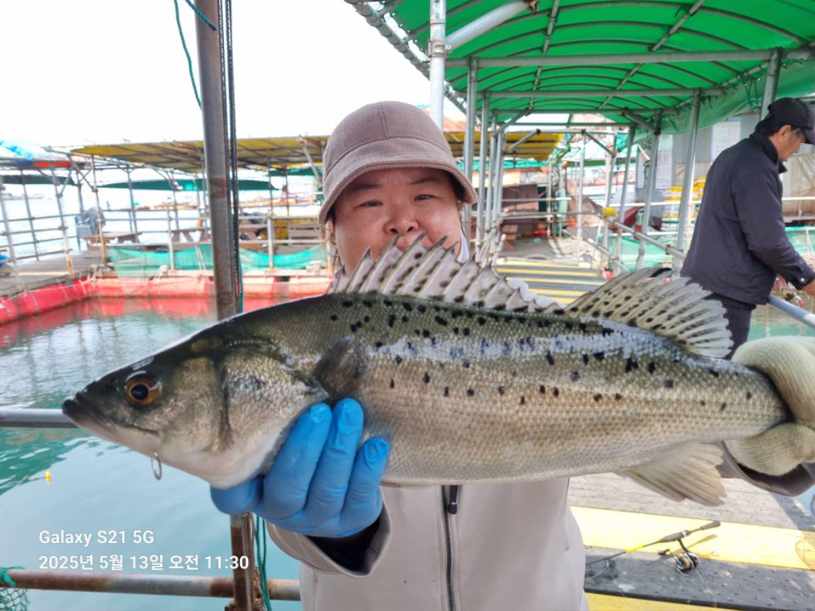 KakaoTalk_20250513_155753548_02.jpg