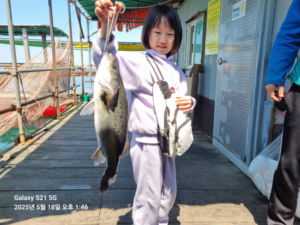 KakaoTalk_20250518_175538592_05.jpg