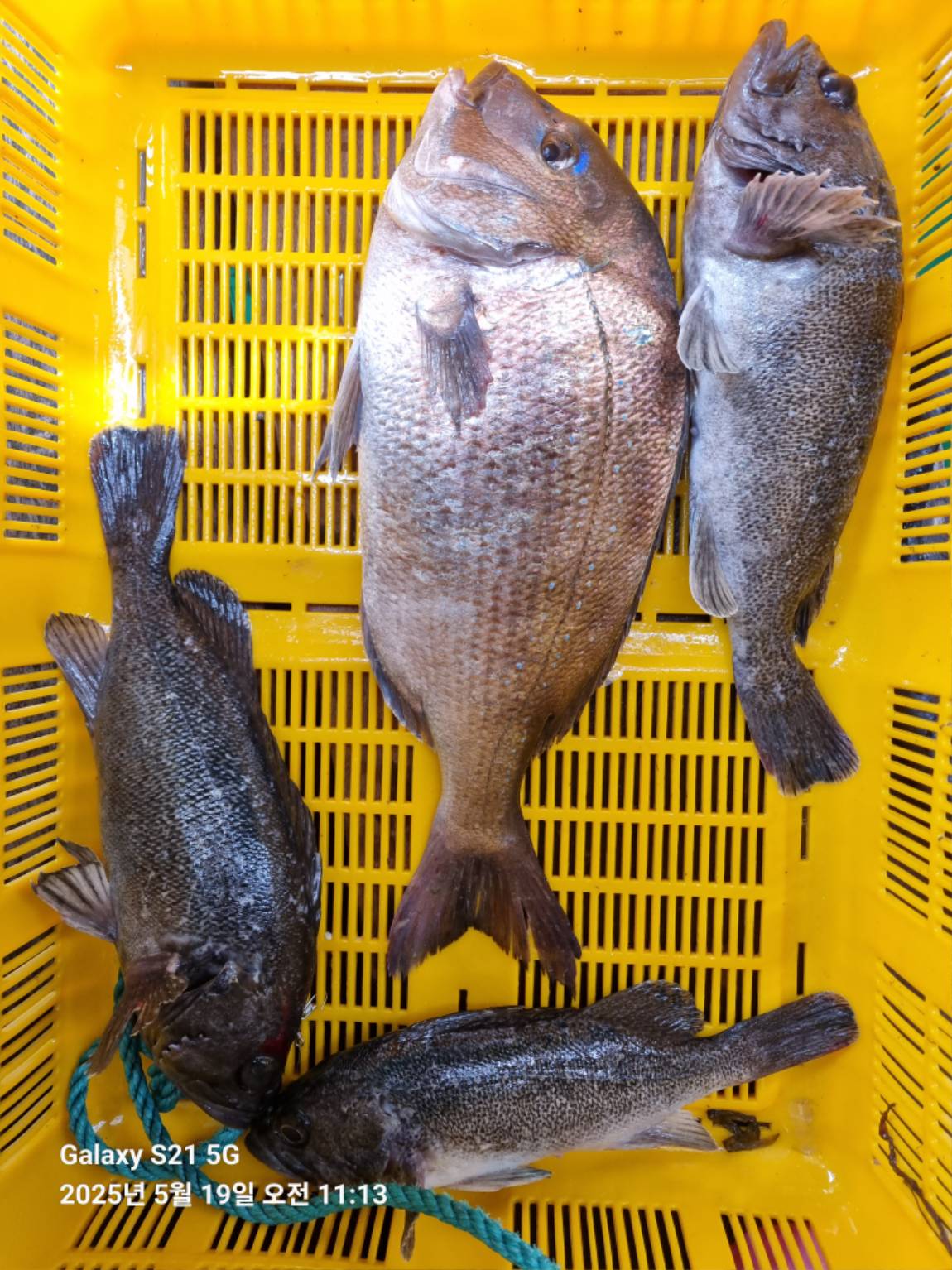 KakaoTalk_20250519_181549044_11.jpg