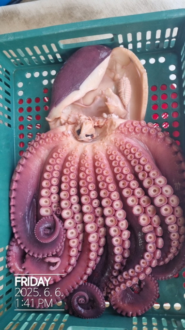 [ũ⺯ȯ]øƮ(ȣ)__20250606_4.jpg