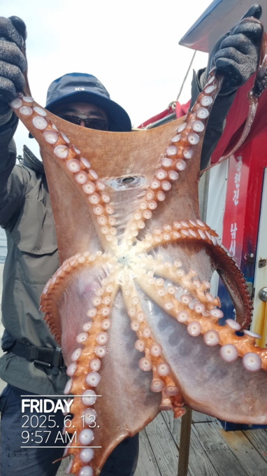 [ũ⺯ȯ]øƮ(ȣ)__20250613_7.jpg