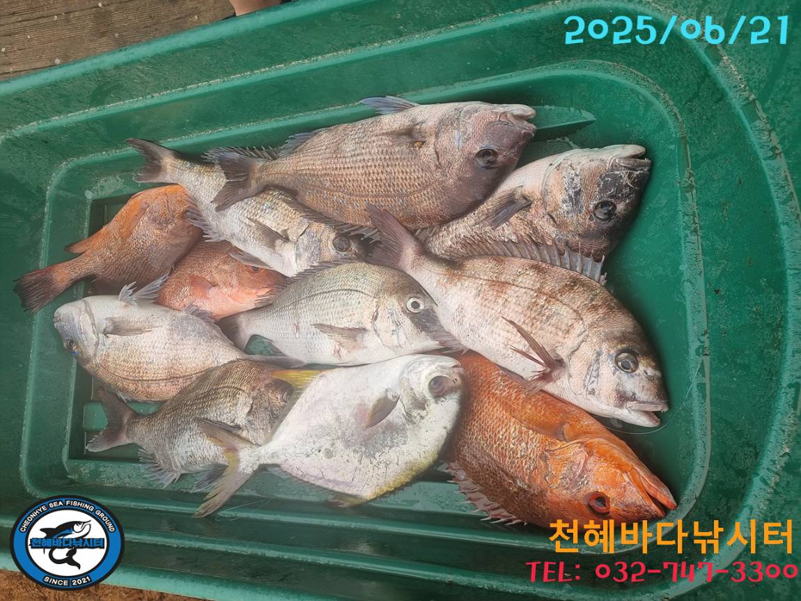 1750501049809.jpg