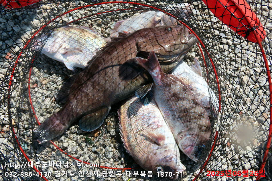 IMG_1765.jpg