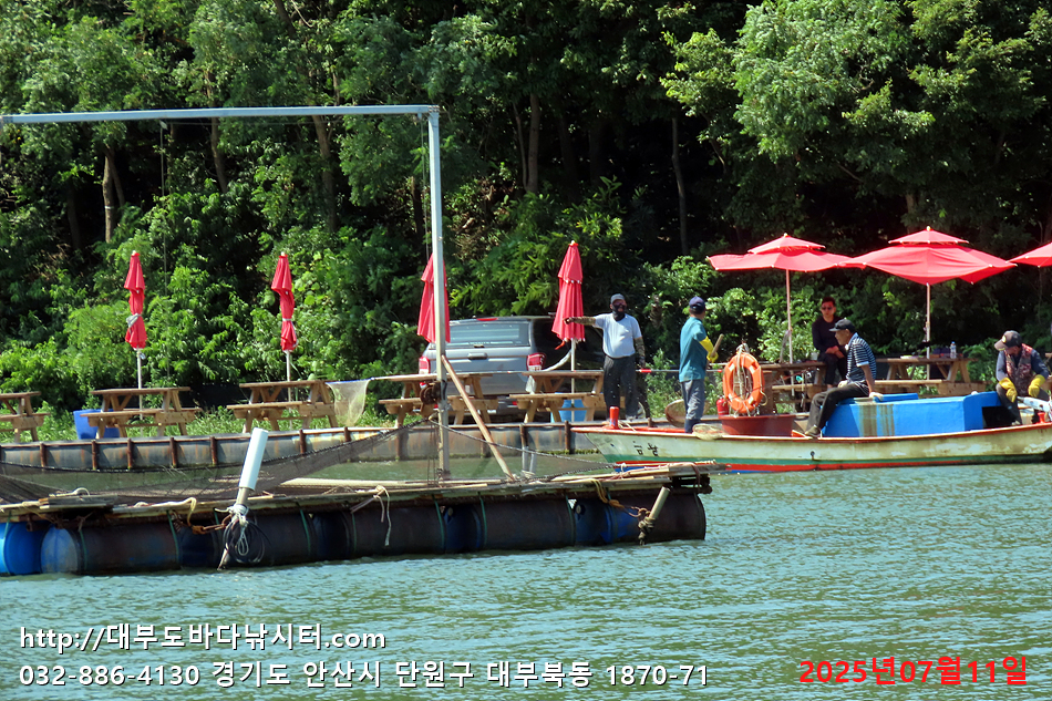 IMG_2733.jpg