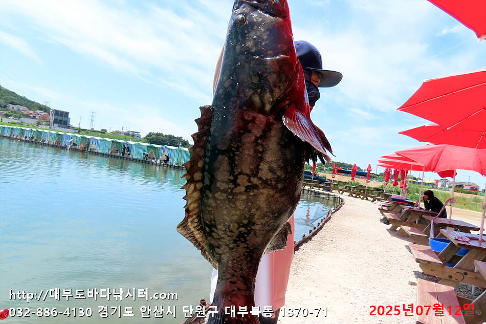 IMG_2826.jpg