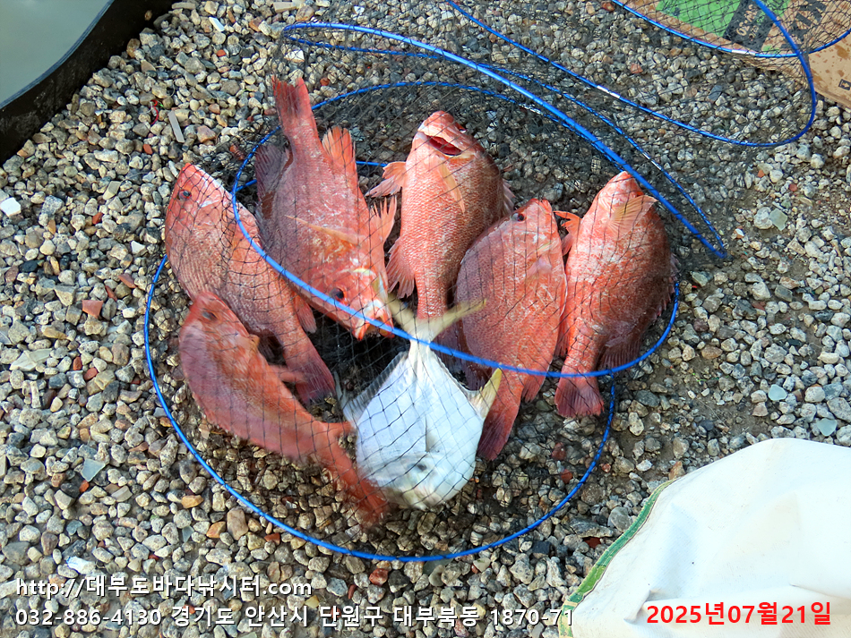 IMG_9854.jpg