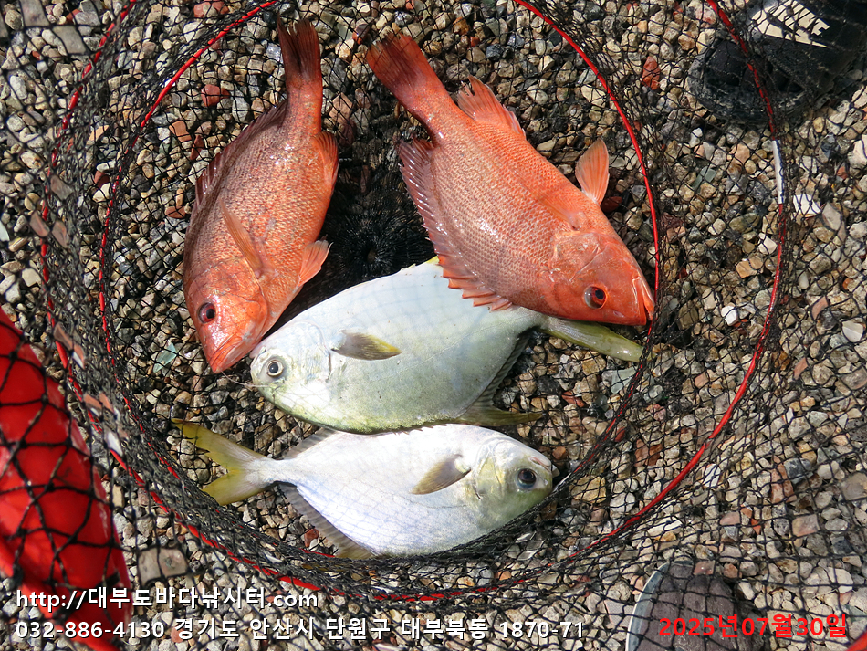 IMG_0525.jpg