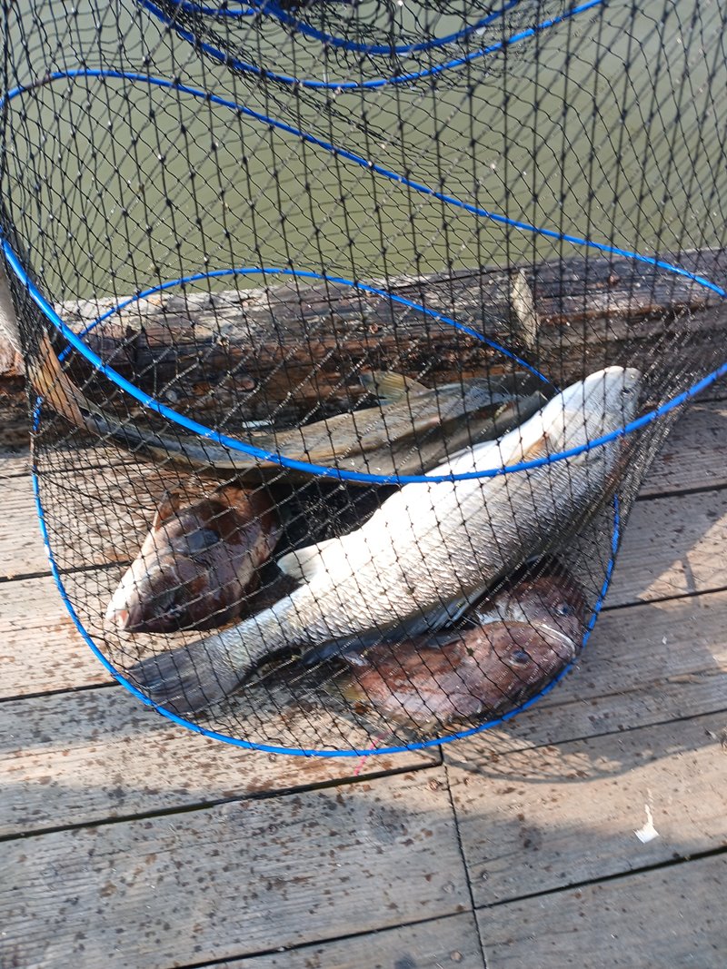 045.jpg