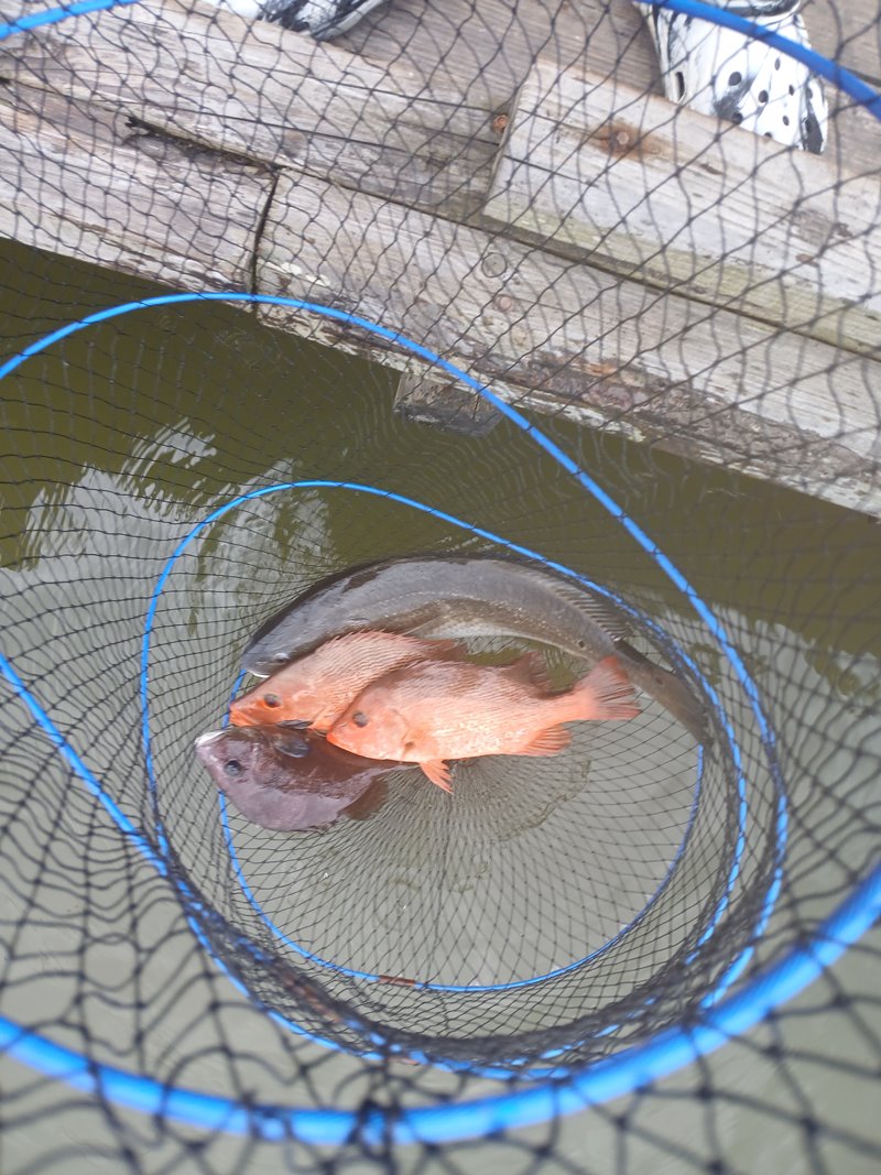 076.jpg