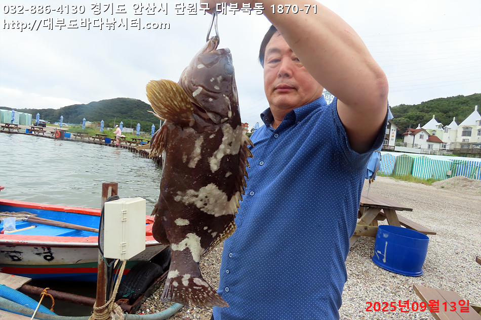 IMG_8230.jpg