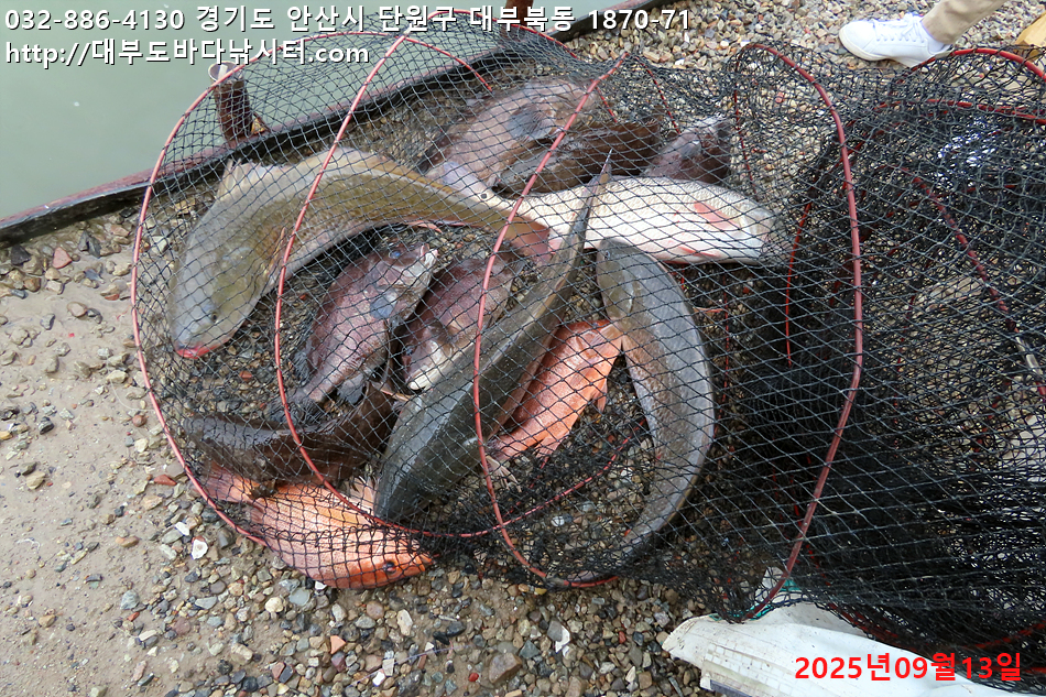 IMG_8240.jpg