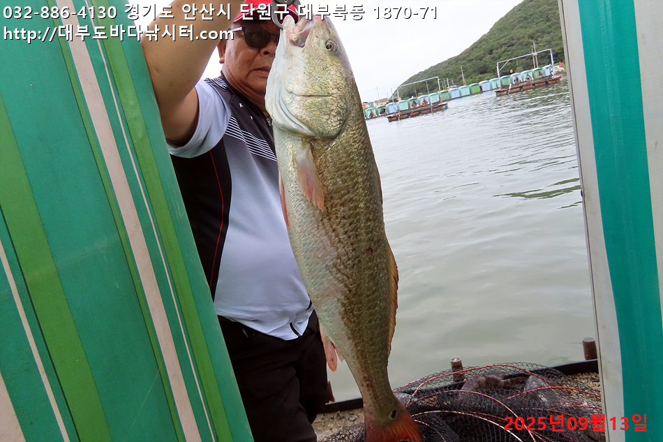 IMG_8244.jpg