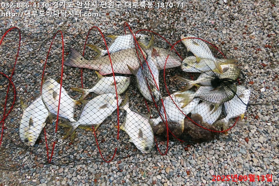 IMG_8246.jpg