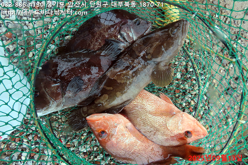 IMG_8281.jpg