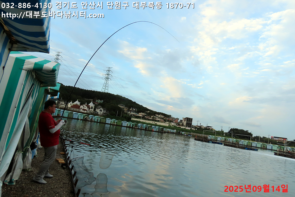 IMG_8308.jpg