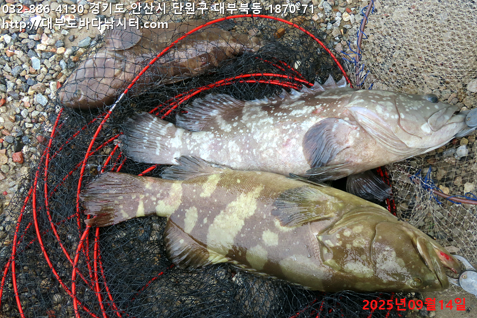 IMG_8323.jpg