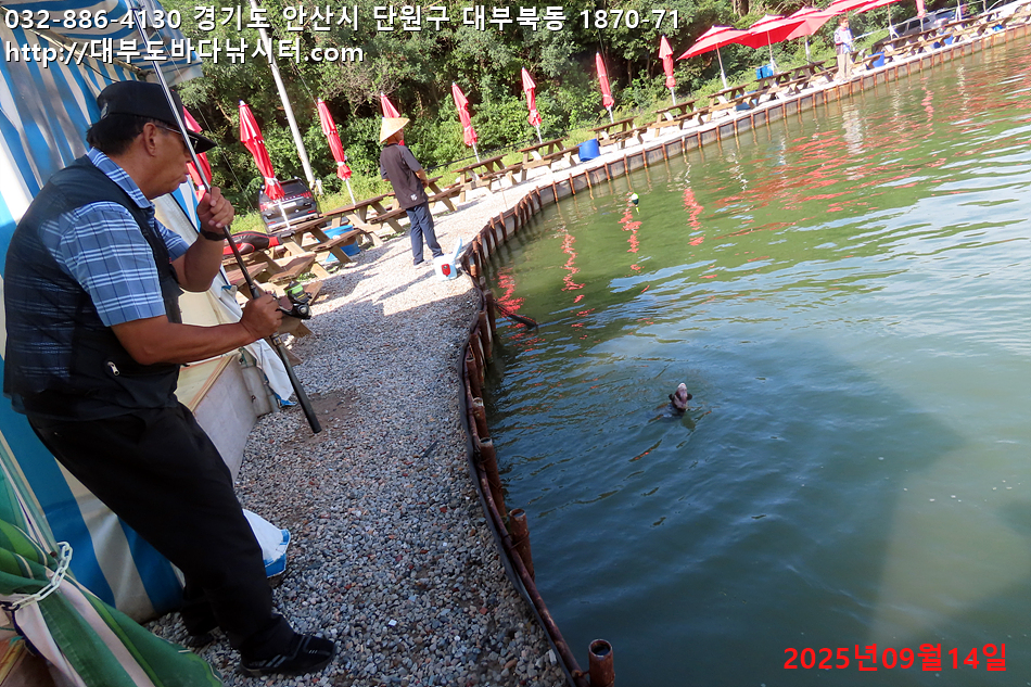 IMG_8355.jpg