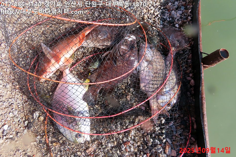 IMG_8357.jpg