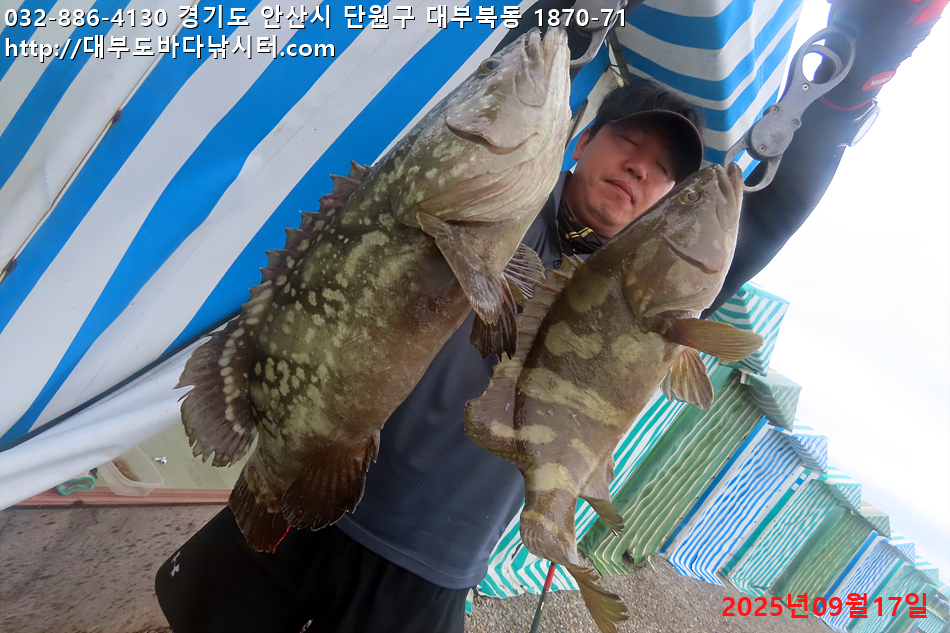 IMG_8465.jpg
