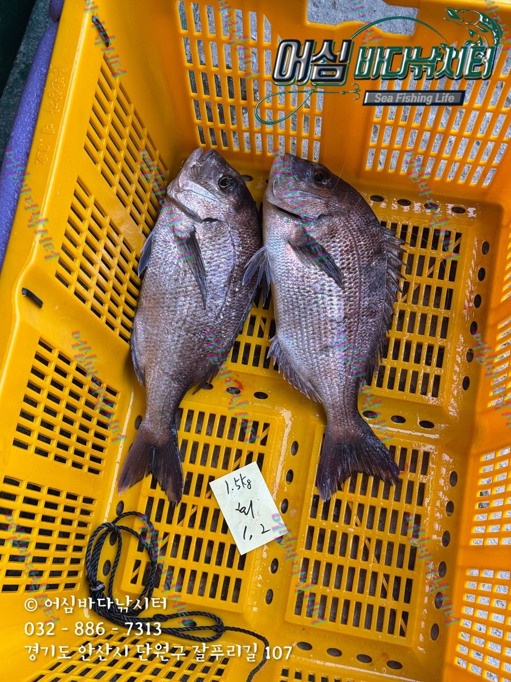 KakaoTalk_Photo_2025-11-08-15-06-37 014.jpeg