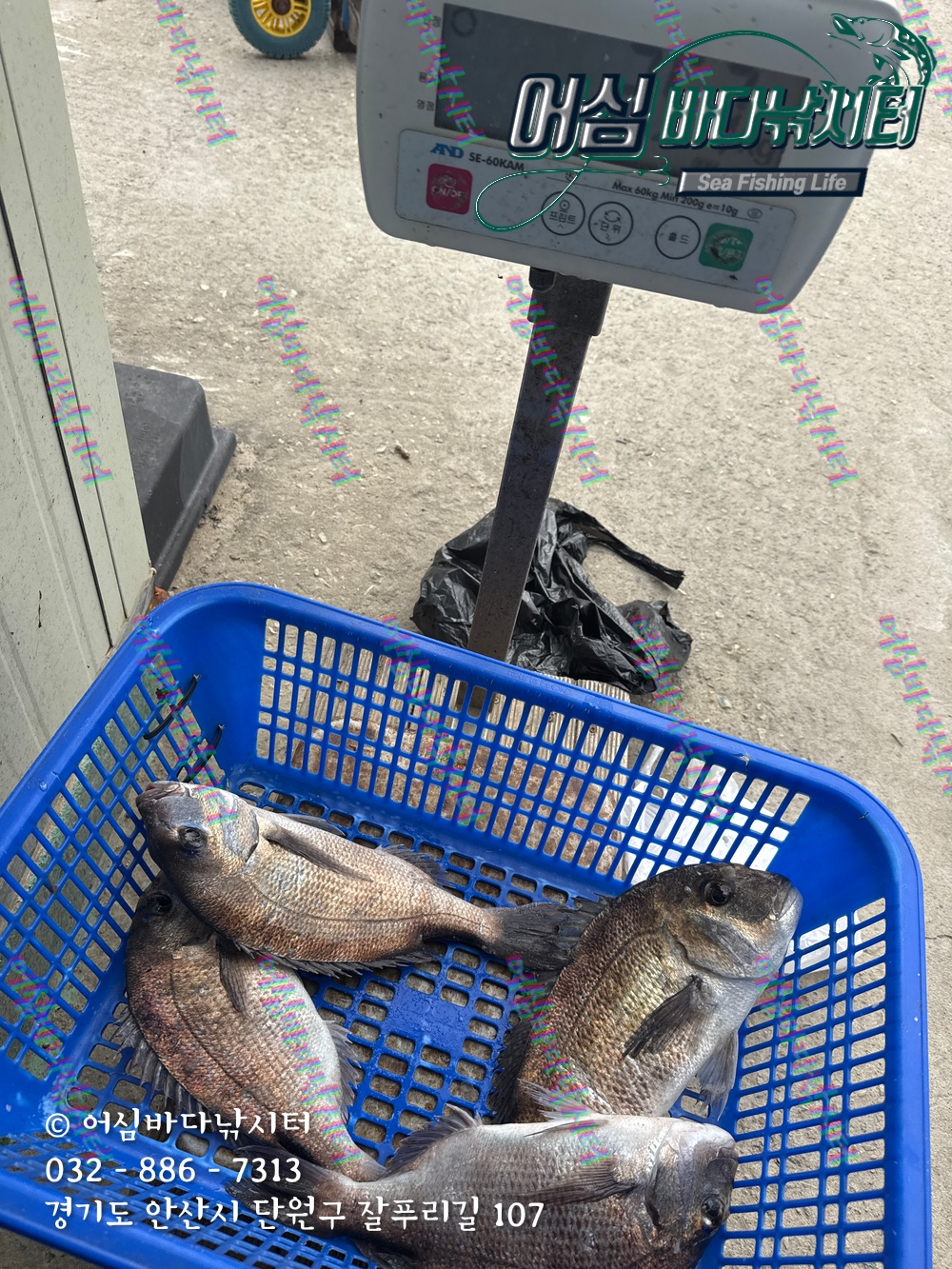 KakaoTalk_Photo_2025-11-08-15-06-25 004.jpeg