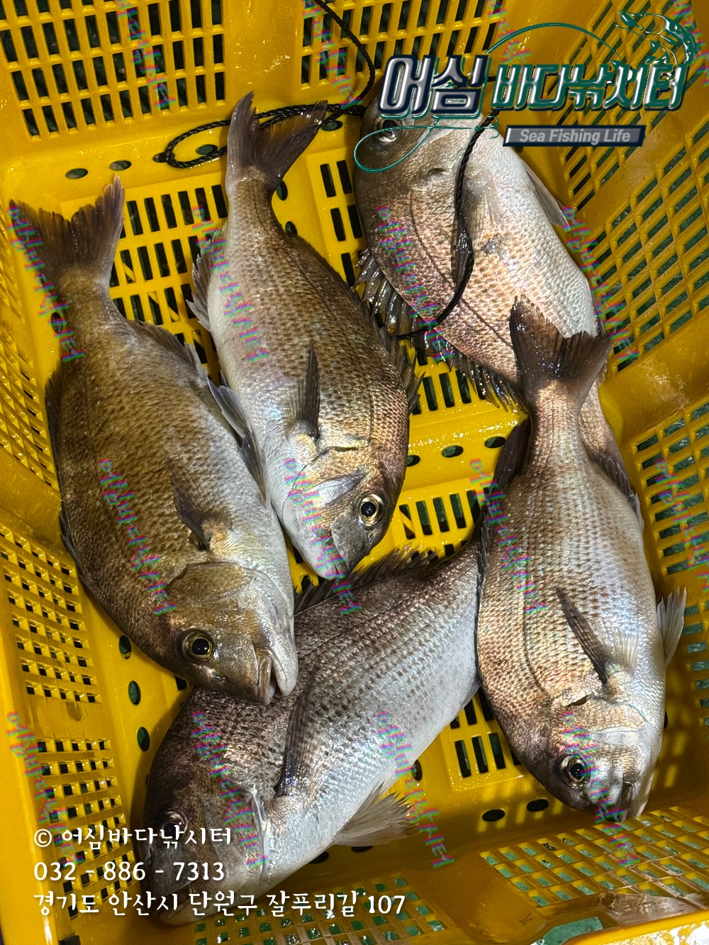 KakaoTalk_Photo_2025-11-08-15-01-58 002.jpeg