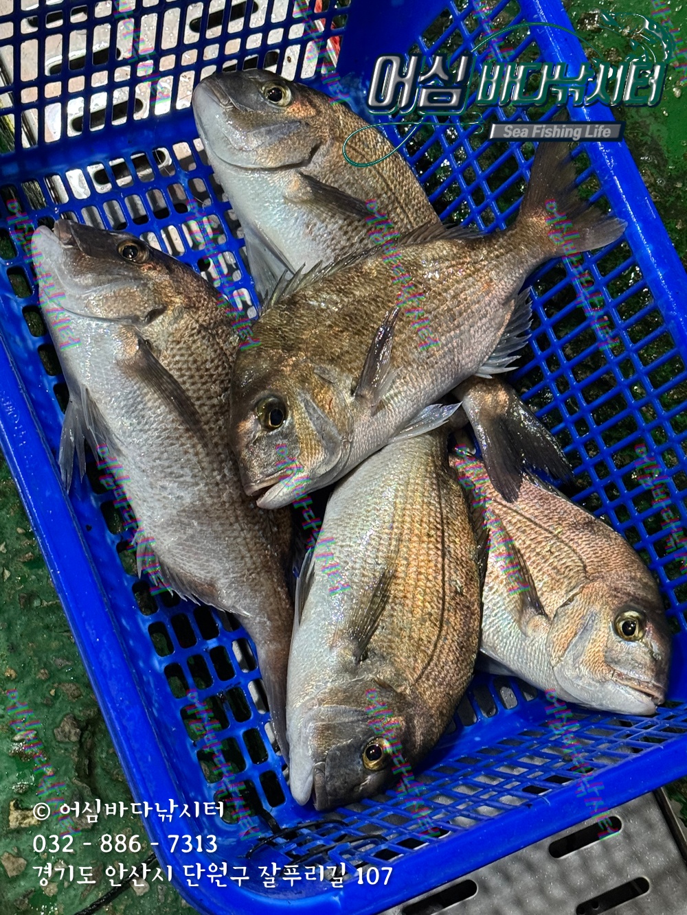 KakaoTalk_Photo_2025-11-08-15-01-57 001.jpeg