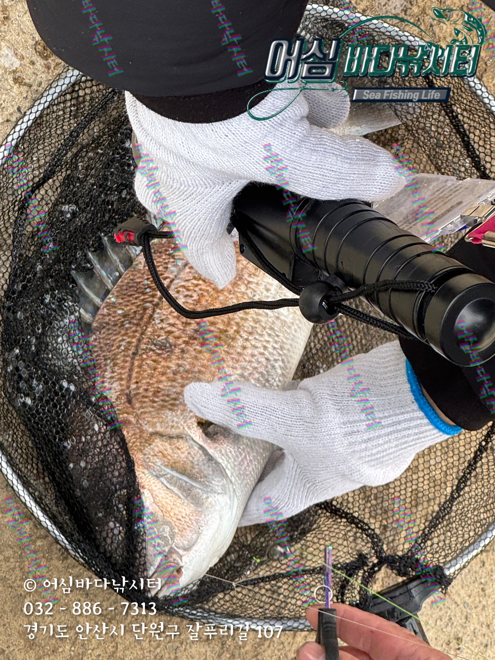 KakaoTalk_Photo_2025-11-08-15-03-35 005.jpeg