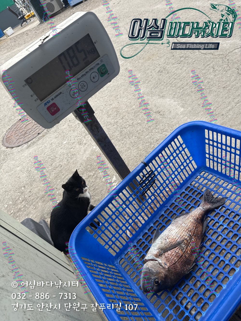 KakaoTalk_Photo_2025-11-08-15-06-23 003.jpeg