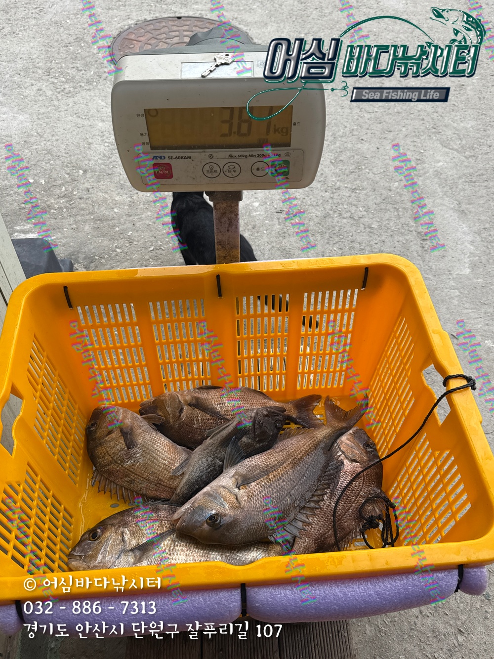 KakaoTalk_Photo_2025-11-08-15-06-22 002.jpeg