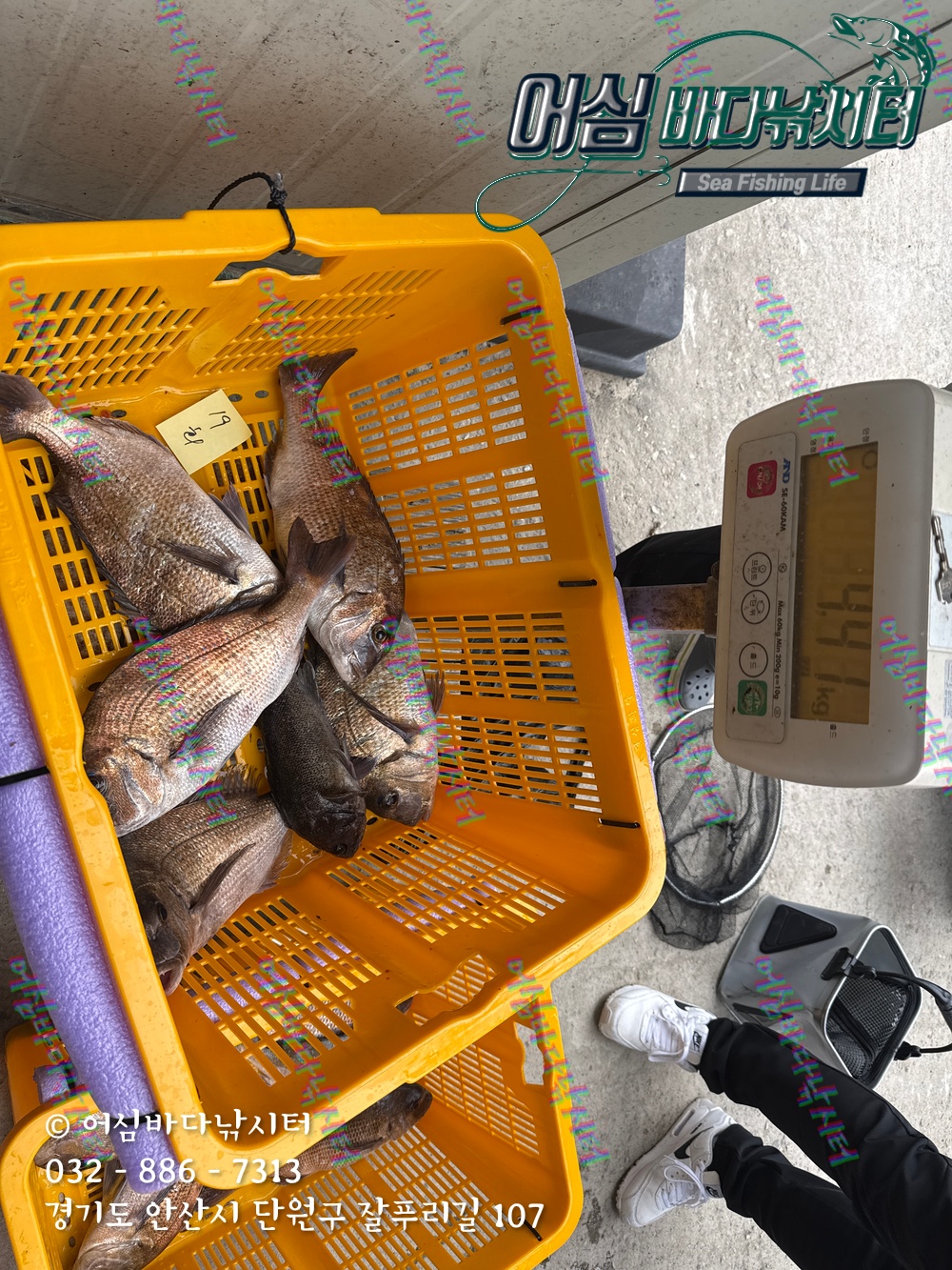 KakaoTalk_Photo_2025-11-08-15-06-31 007.jpeg