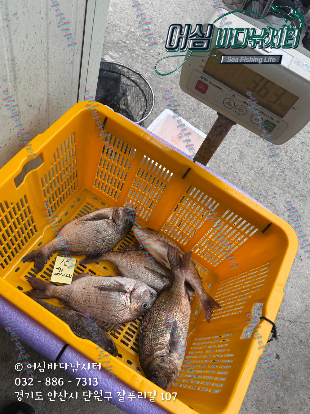 KakaoTalk_Photo_2025-11-08-15-06-36 012.jpeg