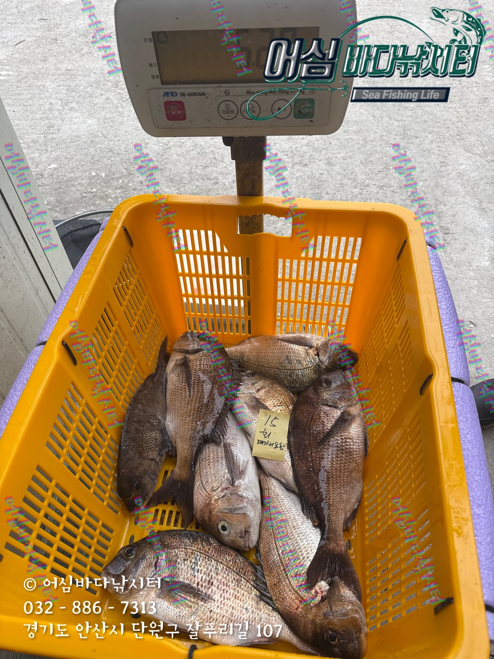 KakaoTalk_Photo_2025-11-08-15-06-36 013.jpeg