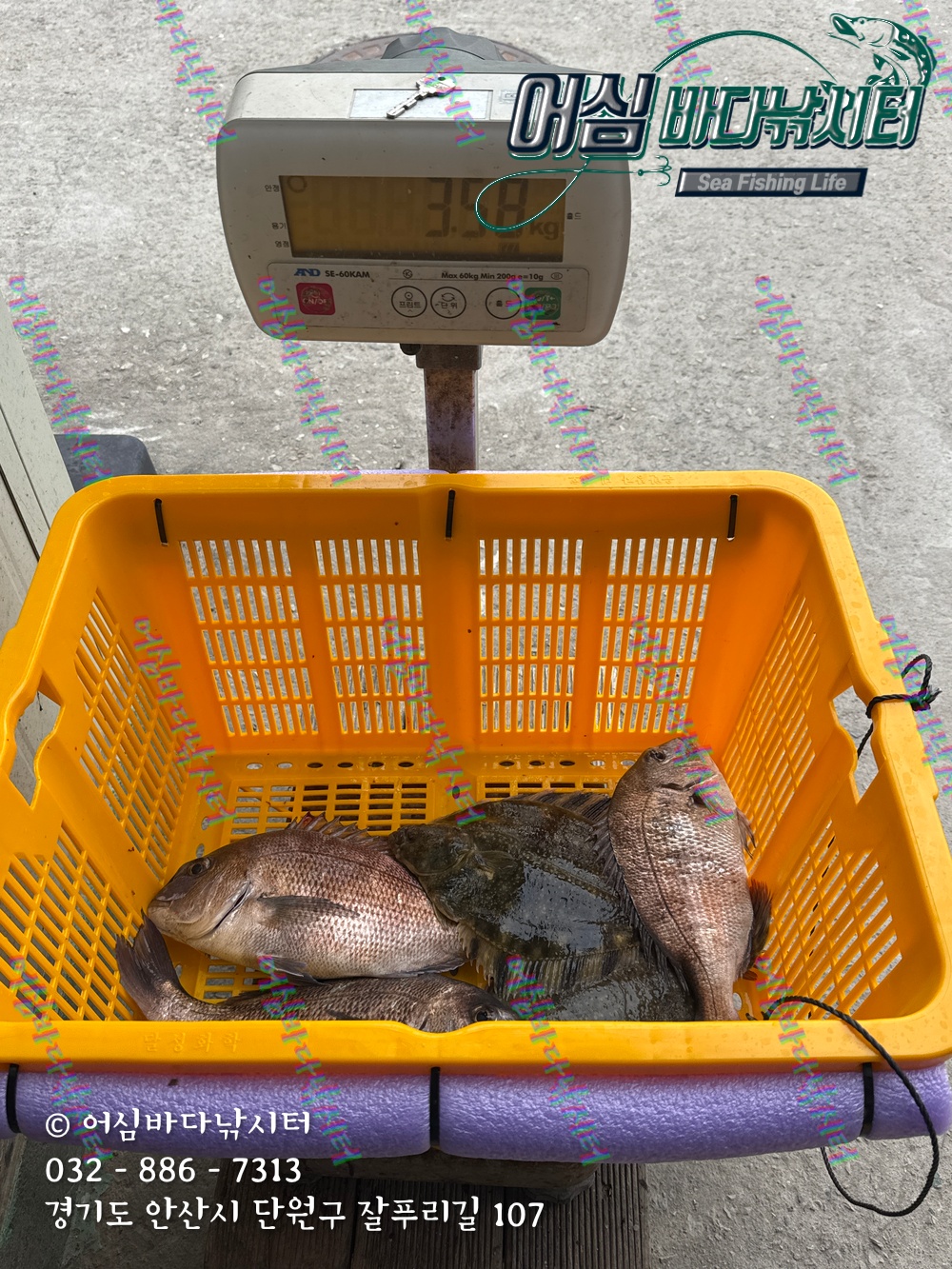 KakaoTalk_Photo_2025-11-08-15-06-21 001.jpeg