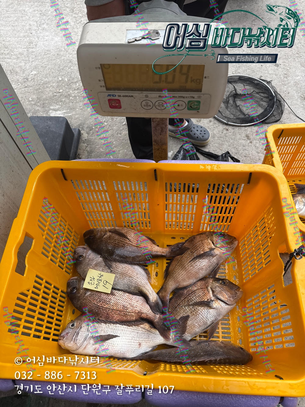 KakaoTalk_Photo_2025-11-08-15-06-32 008.jpeg