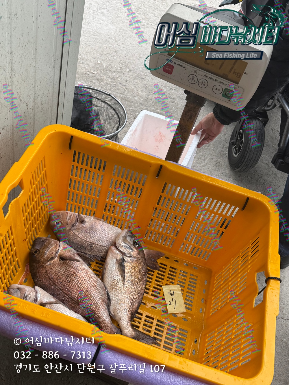 KakaoTalk_Photo_2025-11-08-15-06-35 011.jpeg