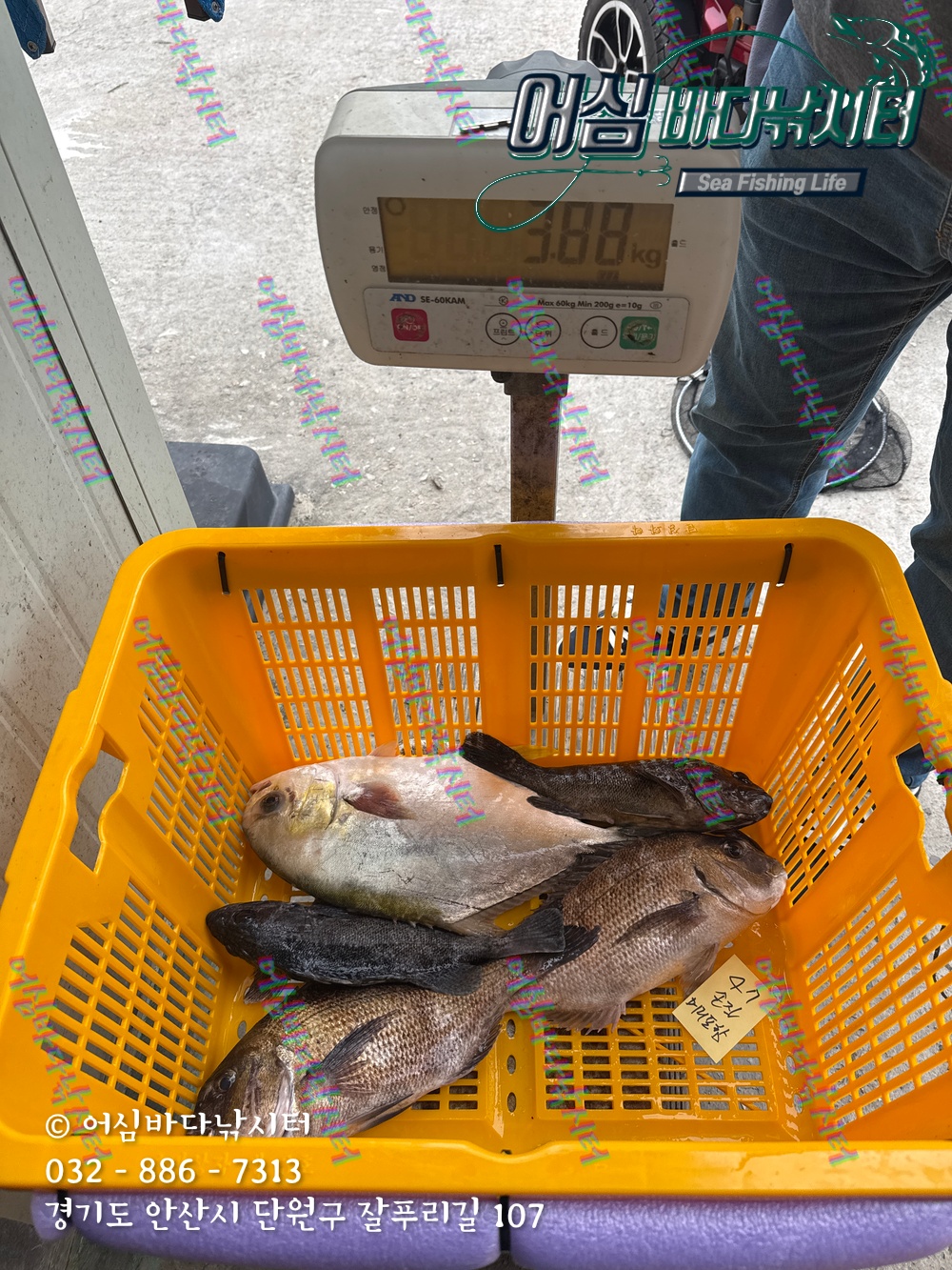 KakaoTalk_Photo_2025-11-08-15-06-34 010.jpeg