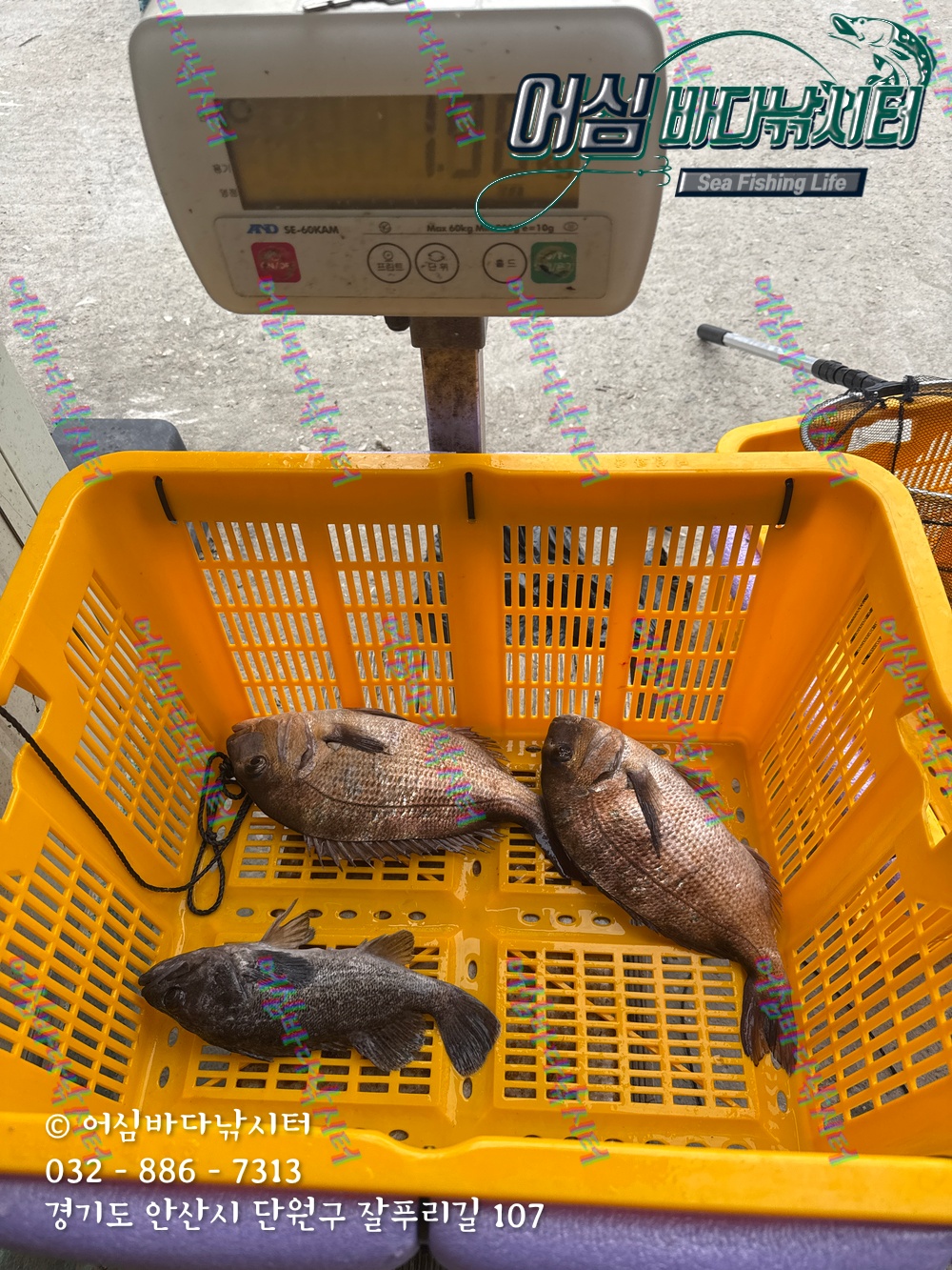 KakaoTalk_Photo_2025-11-08-15-06-30 006.jpeg