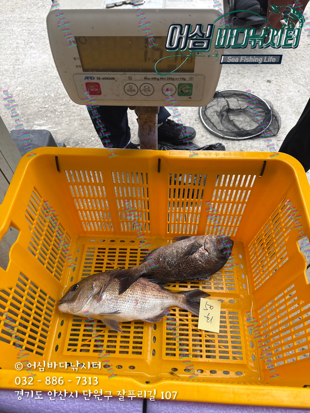 KakaoTalk_Photo_2025-11-08-15-06-32 009.jpeg