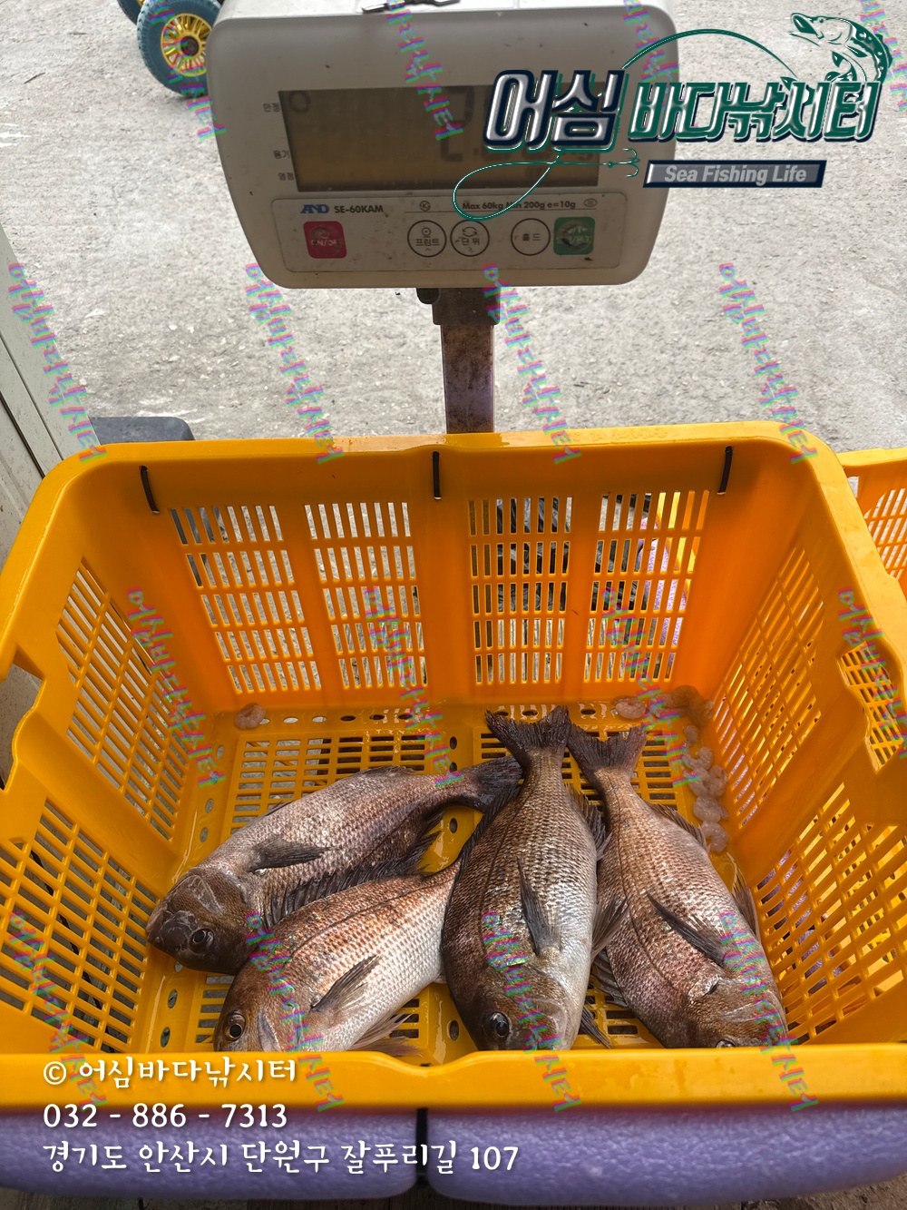 KakaoTalk_Photo_2025-11-08-15-06-27 005.jpeg