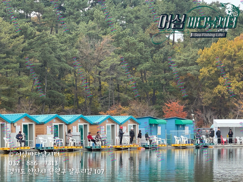 KakaoTalk_Photo_2025-11-08-15-03-32 001.jpeg