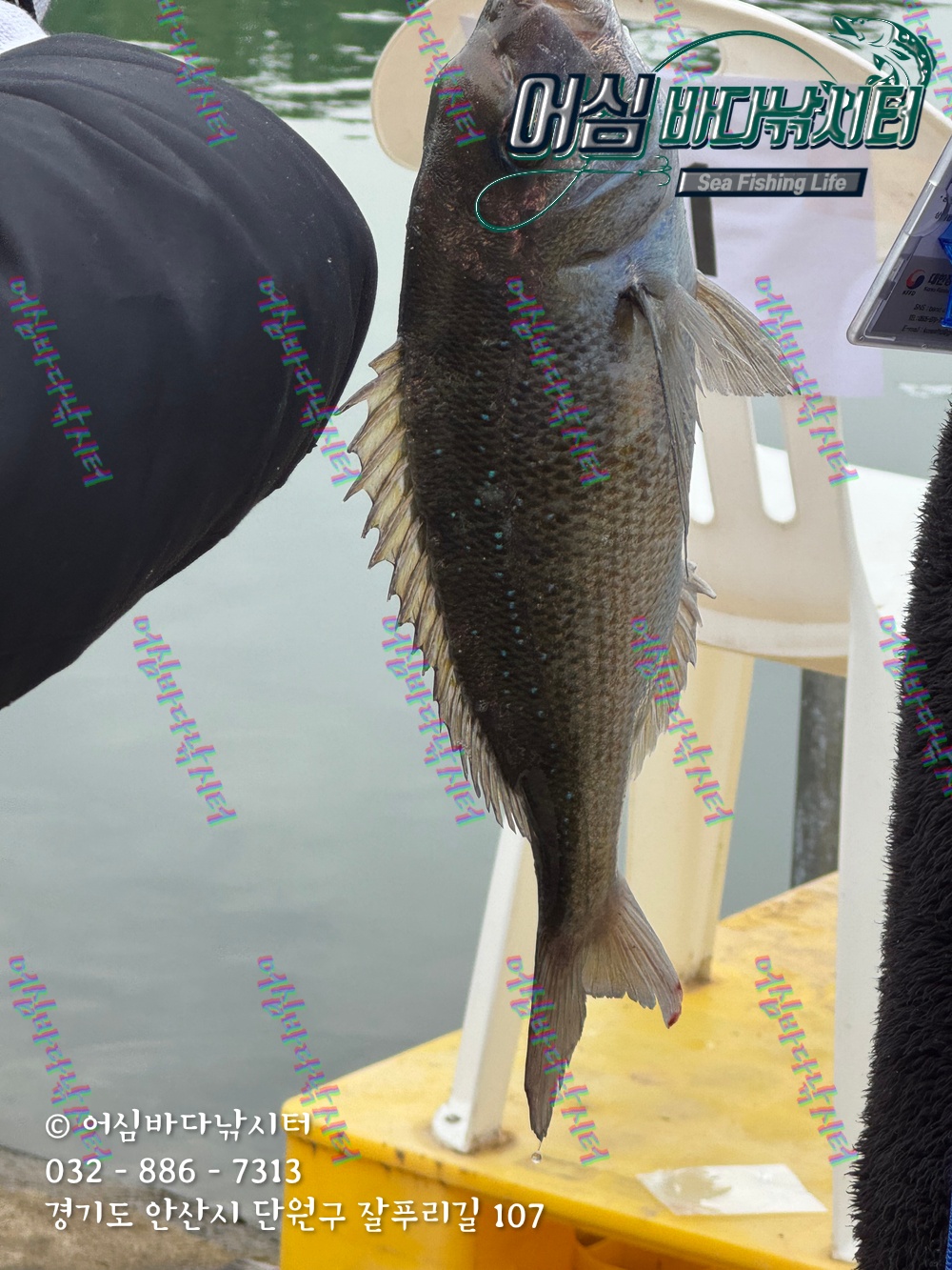 KakaoTalk_Photo_2025-11-08-15-03-33 002.jpeg