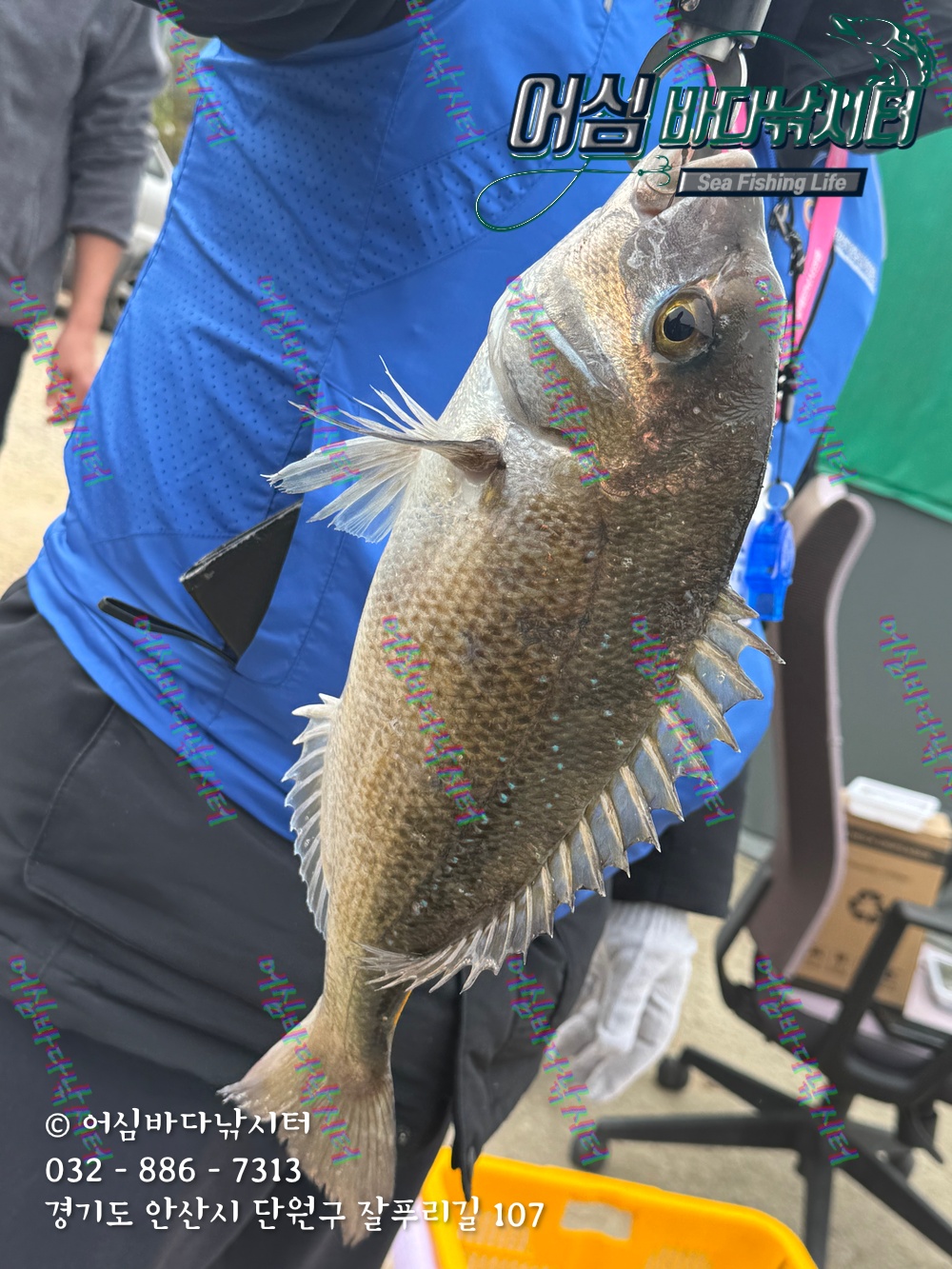 KakaoTalk_Photo_2025-11-08-15-03-34 003.jpeg