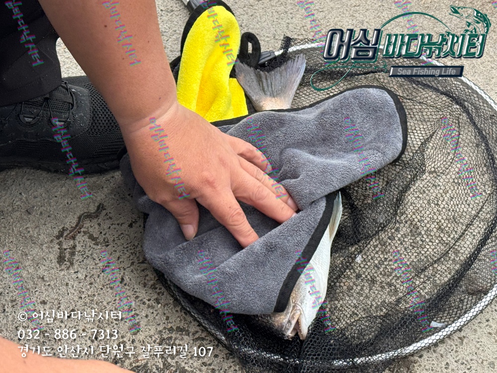 KakaoTalk_Photo_2025-11-08-15-06-59 006.jpeg