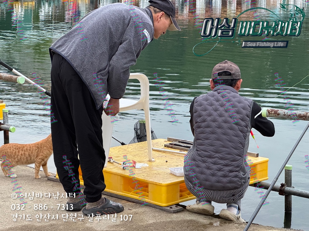 KakaoTalk_Photo_2025-11-08-15-07-01 008.jpeg